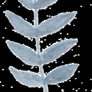 Meet your Posher, Ali